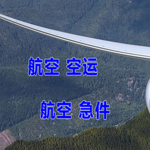 岳阳三荷航空邮寄快递-选东方航空和上海航空