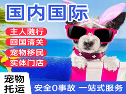 岳阳三荷航空邮寄国际宠物托运 【国